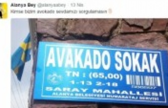 Alanya Bey'inden kahkahaya boğan tweetler