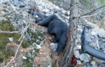 Kuşyuvası'ndaki kazadan çarpıcı kareler