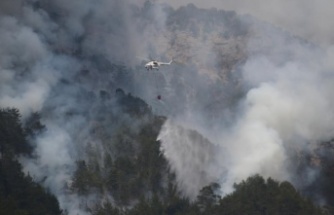 Alanya'da ikinci orman yangını