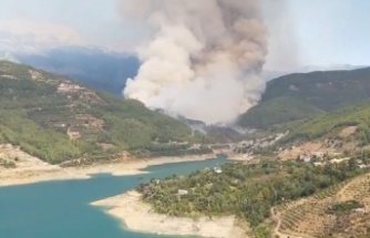Eyvah! Alanya'yı korkutan yangın büyüyor