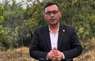 Alanya'nın yeni ürünü! İlk hasadı yapılıyor