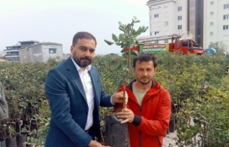 Büyükşehirden keçiboynuzuna destek