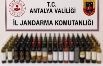 Alanya’da kaçak alkol operasyonu