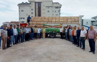 Büyükşehir’den 3 ilçeye 849 arı kovanı hibesi