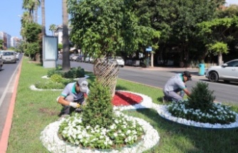 Alanya Belediyesi’nden yeşil alanlara yoğun mesai!