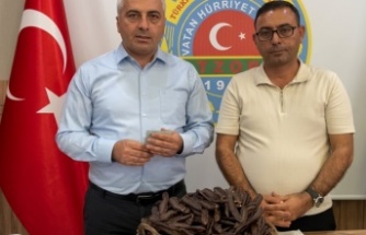Keçiboynuzunda yeni sezon: Tavsiye fiyat 75 TL’ye kadar çıktı!