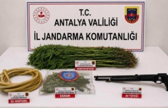 Alanya’da uyuşturucu operasyonu!