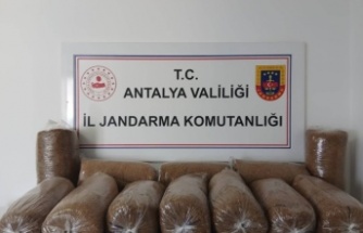 Alanya'da kaçak tütün operasyonu: 72 kilo tütün ele geçirildi!