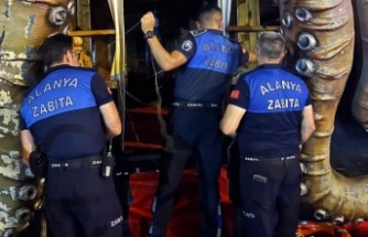 Alanya zabıtasından kavga eden tur teknelerine mühür!