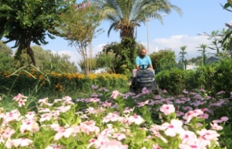 Alanya Belediyesi Park ve Bahçeler Müdürlüğü 7/24 sahada!