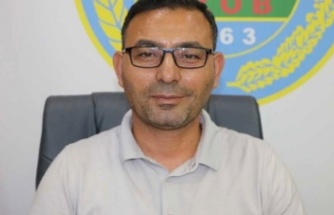 Alanya'da avokado sezonu başlıyor: Erken hasat uyarısı!