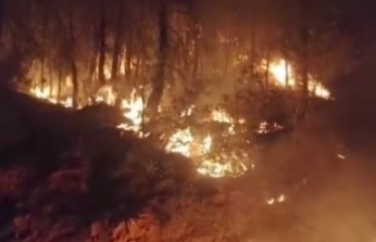 Gazipaşa'da orman yangını