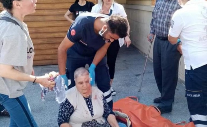 Dengesini kaybeden yaşlı çift yürüyen merdivenlerden yuvarlandı