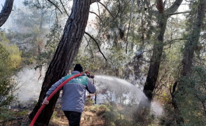 Antalya'daki orman yangını 2 saatte kontrol altına alındı