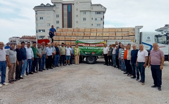 Büyükşehir’den 3 ilçeye 849 arı kovanı hibesi