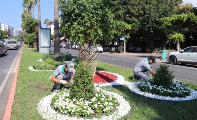Alanya Belediyesi’nden yeşil alanlara yoğun mesai!
