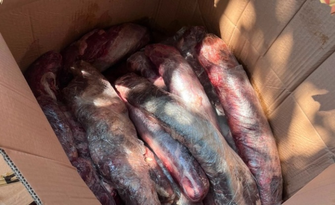 Halk sağlığını tehdit eden 300 kilogram et imha edildi!