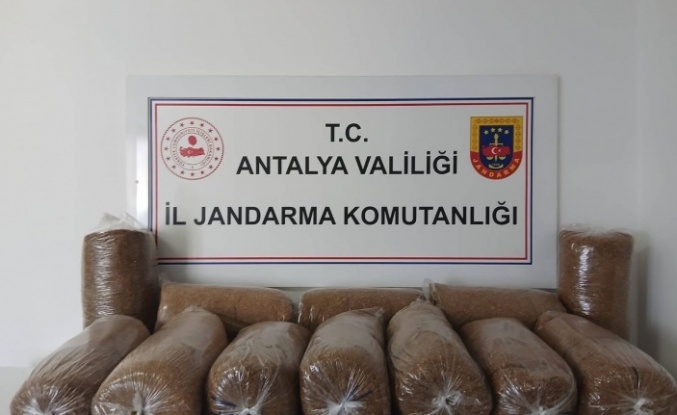 Alanya'da kaçak tütün operasyonu: 72 kilo tütün ele geçirildi!