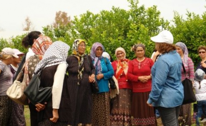 Çiftçi Eğitim Çalışmalarına Devam Ediliyor 