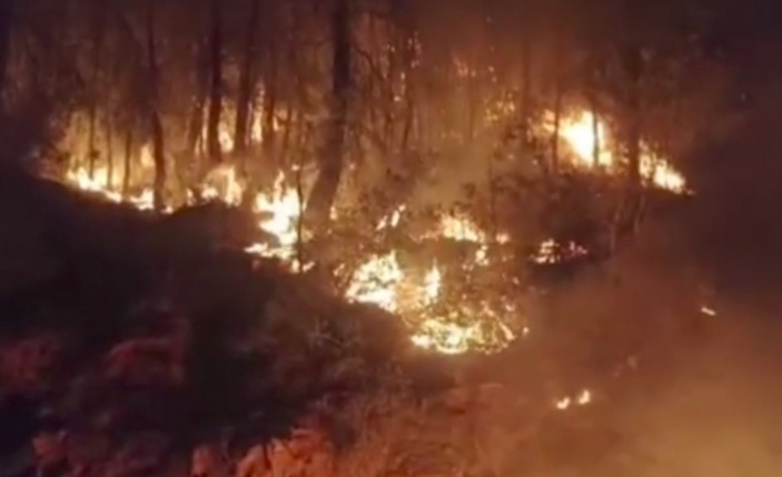 Gazipaşa'da orman yangını