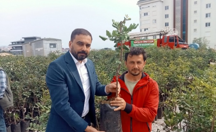 Büyükşehirden keçiboynuzuna destek