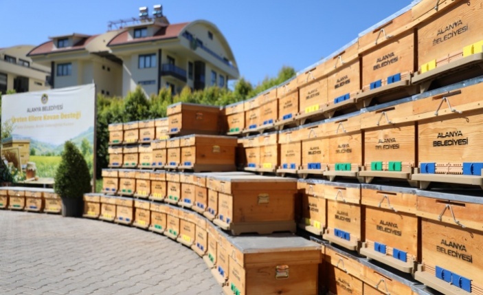 Alanya Belediyesi’nden arıcılara büyük destek