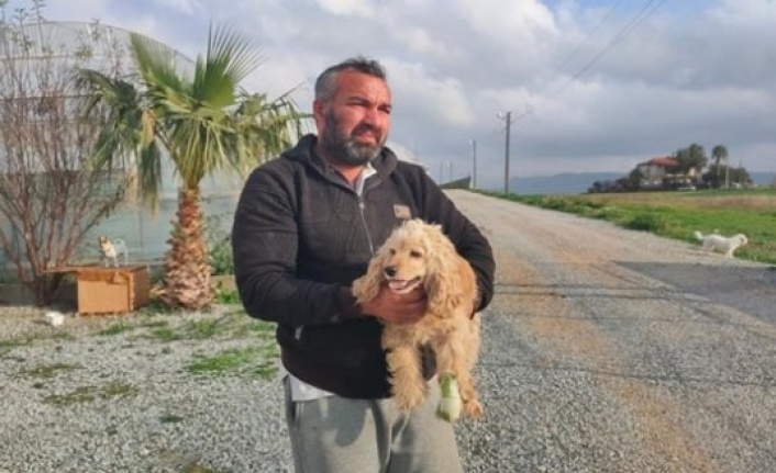 elinde tufekle kopegi kovalarken yakalandi kopek sahibine etmedigi hakaret kalmadi