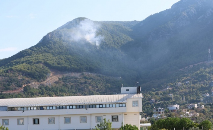 Alanya'da korkutan orman yangını