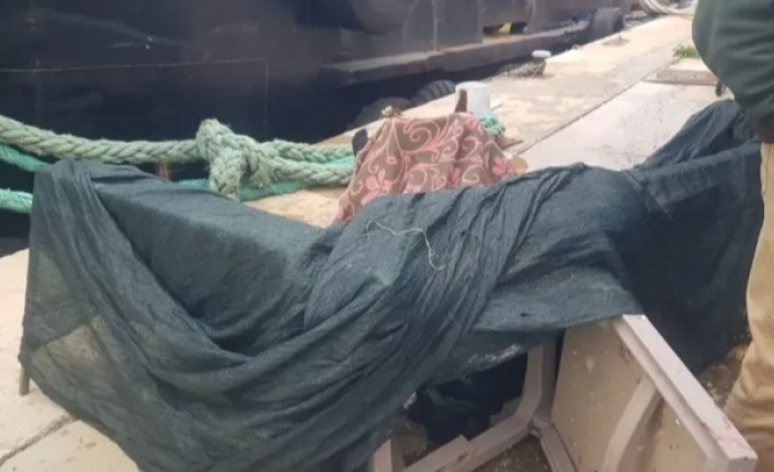 Alanya İskelesinde erkek cesedi bulundu