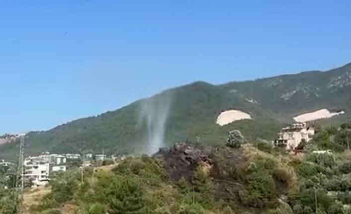 Alanya'da yerleşim alanında korkutan yangın