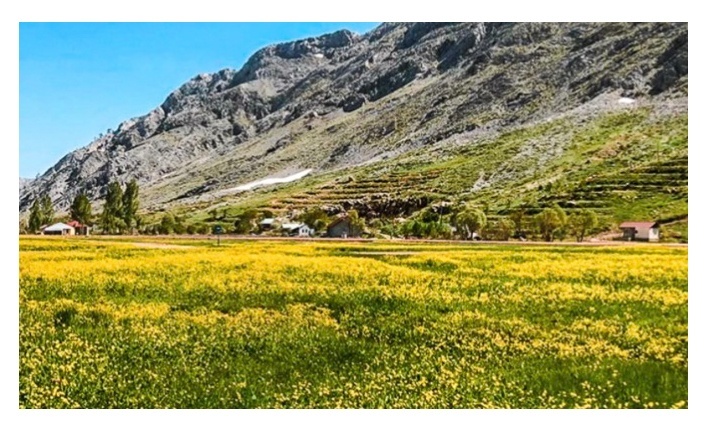 Gökbel’de yıldızlar geçidi!