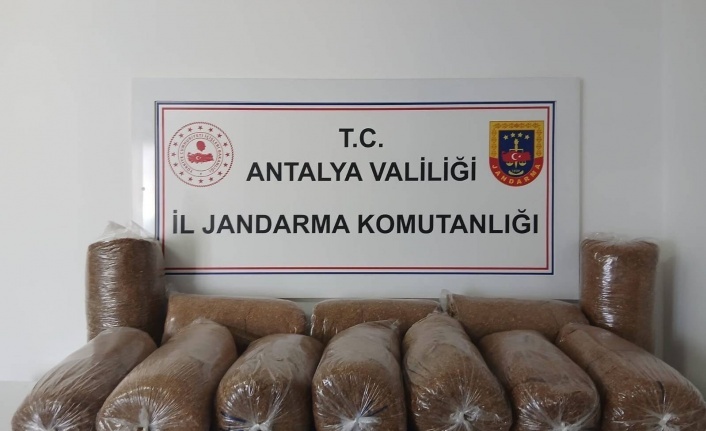 Alanya'da kaçak tütün operasyonu: 72 kilo tütün ele geçirildi!