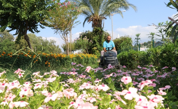 Alanya Belediyesi Park ve Bahçeler Müdürlüğü 7/24 sahada!