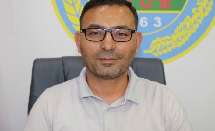Alanya'da avokado sezonu başlıyor: Erken hasat uyarısı!