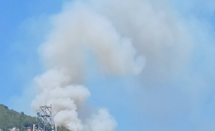 Alanya Tepe Mahallesi’nde korkutan yangın!
