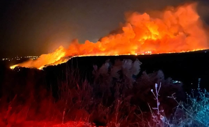 Alanya'da poyraz alarmı: Üreticilere yangın uyarısı!