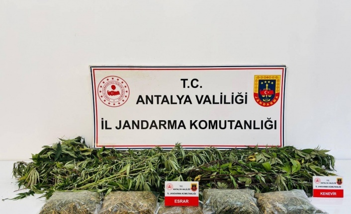 Alanya’da jandarmadan uy*ştur*cu operasyonu!