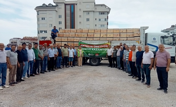 Büyükşehir’den 3 ilçeye 849 arı kovanı hibesi